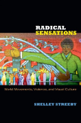 Radical Sensations book cover